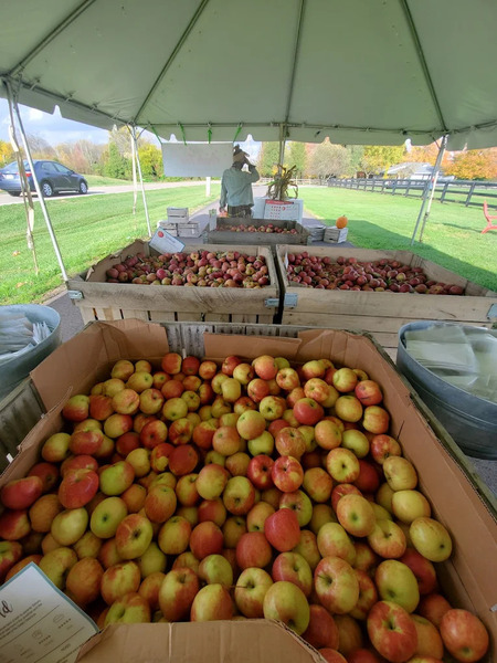 Hidden Valley Orchards