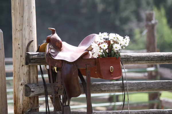 Cheff Ranch