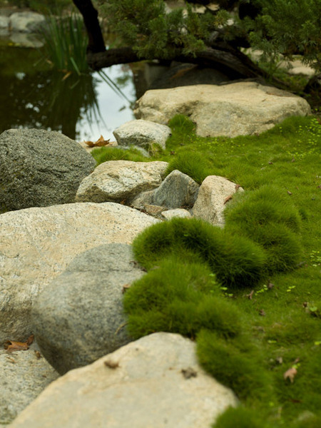 Storrier Stearns Japanese Garden
