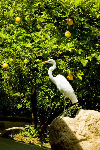 Storrier Stearns Japanese Garden