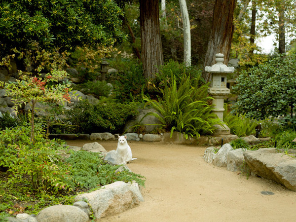 Storrier Stearns Japanese Garden