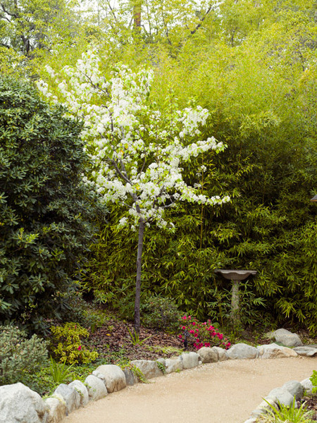 Storrier Stearns Japanese Garden