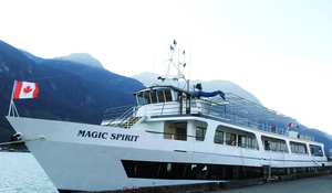 Magic Spirit