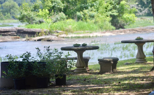 River Lily Events
