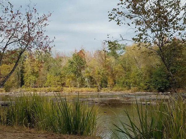 River Lily Events
