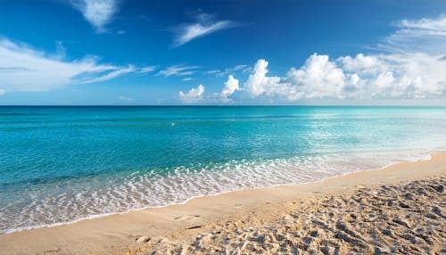 SunDaze Travel Agency LLC