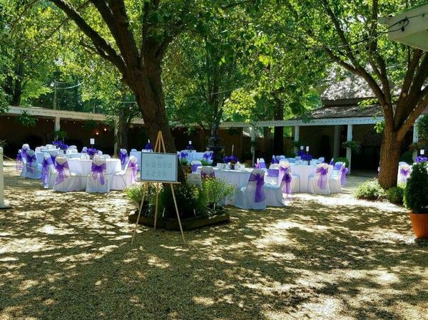 Ingleside Vineyards