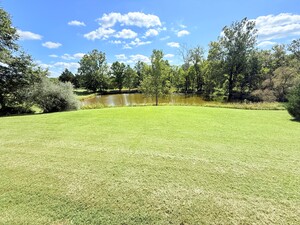 The Pond