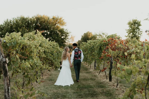 Rogge Family Vineyard