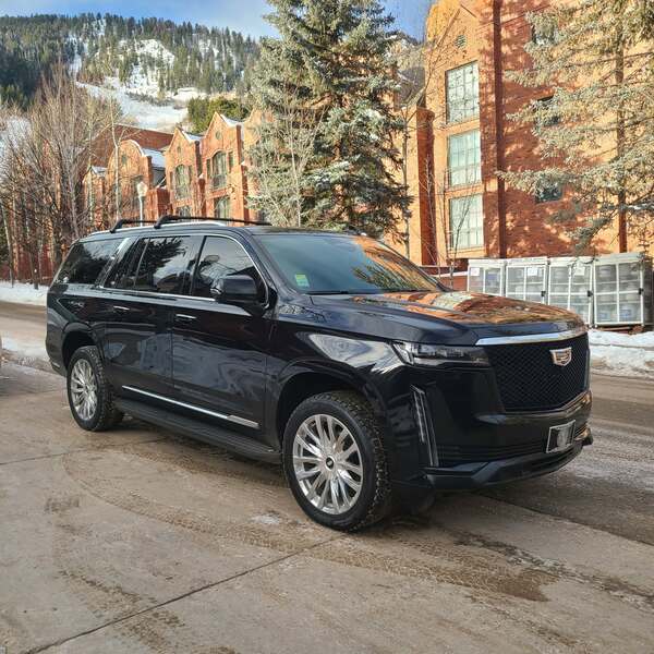 Arion Transportation and Tours