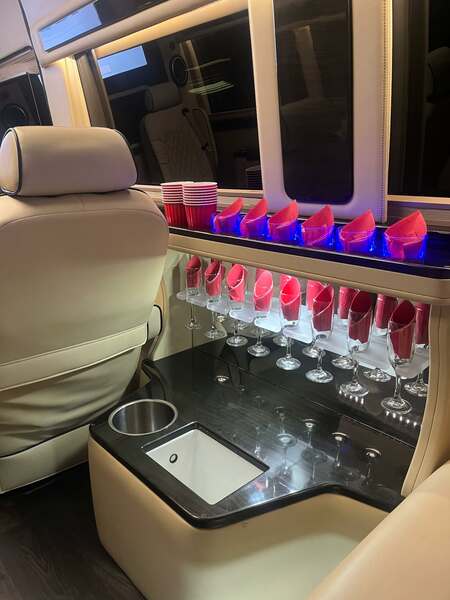 Arion Transportation and Tours