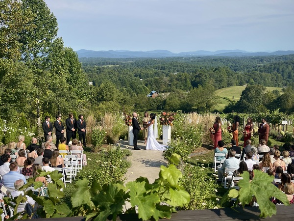 Longleaf Vineyard