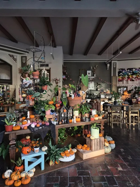 Little Green - A Plant Bar