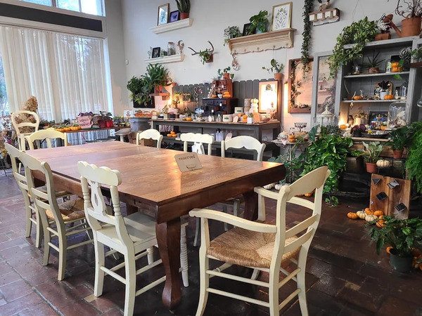 Little Green - A Plant Bar