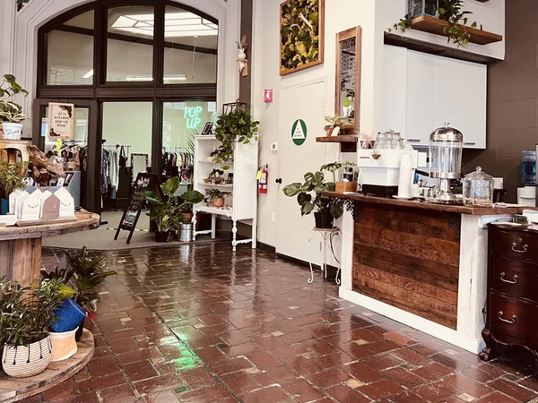 Little Green - A Plant Bar