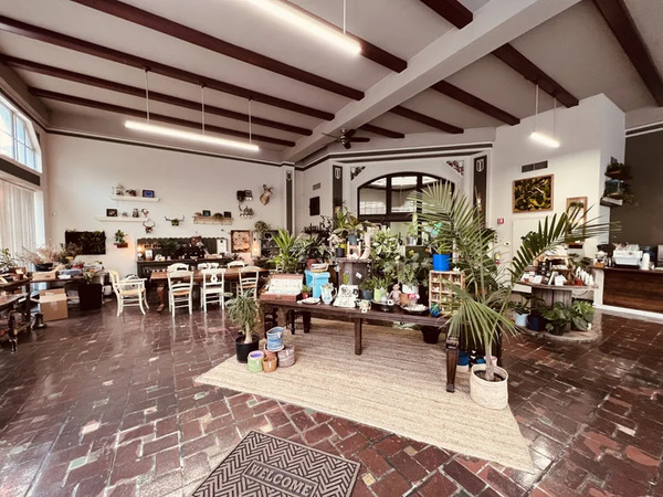 Little Green - A Plant Bar