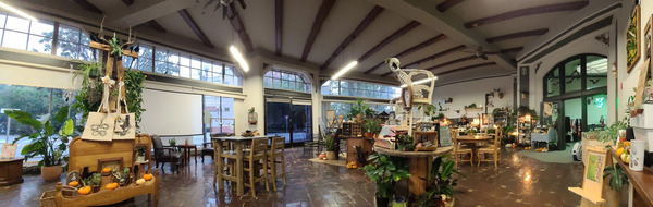Little Green - A Plant Bar