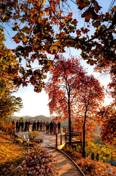 Elk Springs Resort