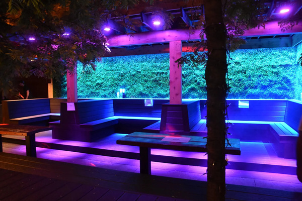 Bosco Lounge