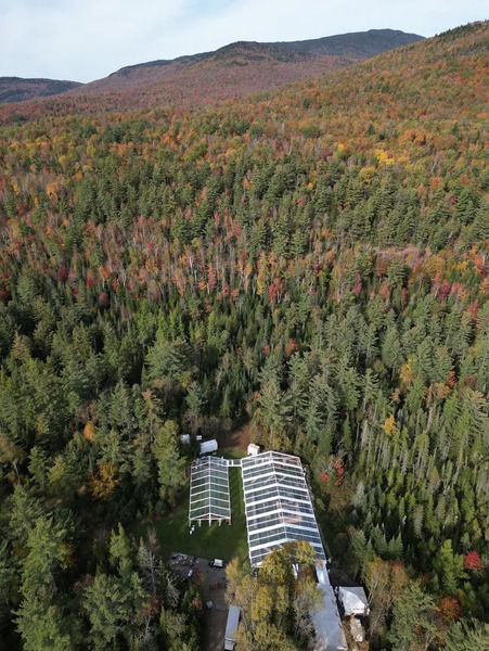 McKenzie Wilderness Estate