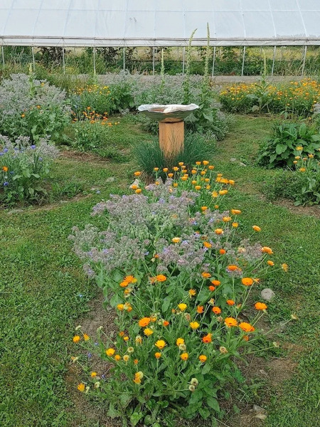 Back Roads Farm