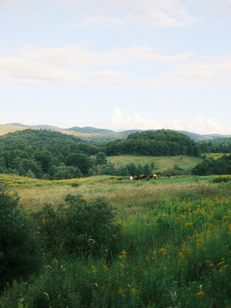 The Tillerman Inn & Restaurant