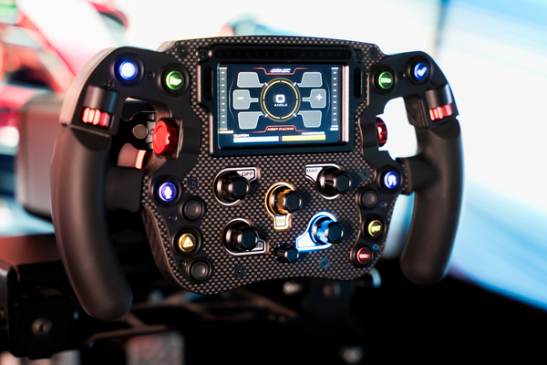 P1 Sim Racing