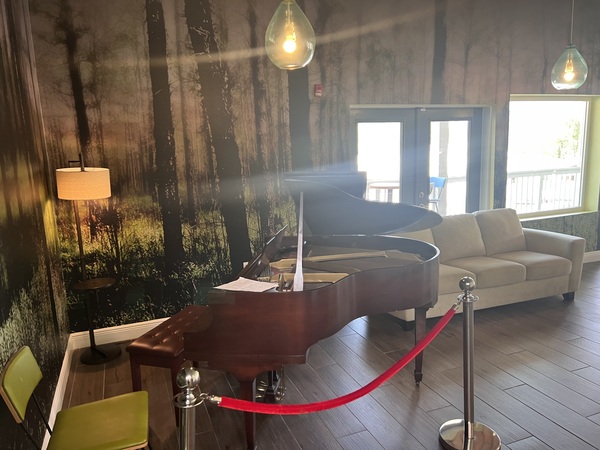 Swan Luxury Studio Apartments