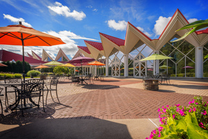 Outdoor Terrace