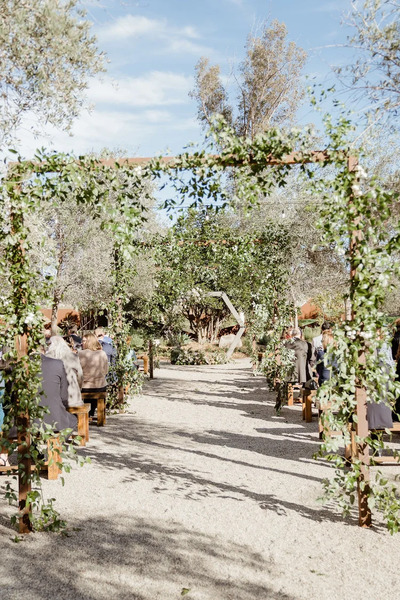 Lavender & Olive