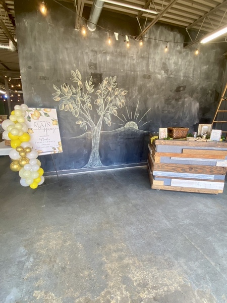 The Fun Venue LLC