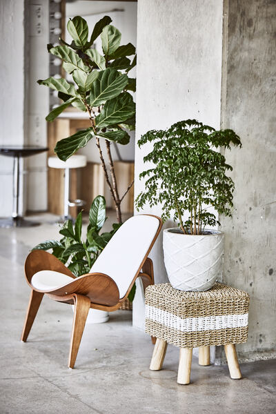 Artsy Apartment Studio