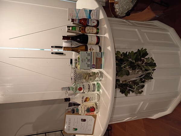 Tend 2U Bartending And More