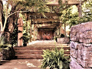 Pergola & Meditation Garden