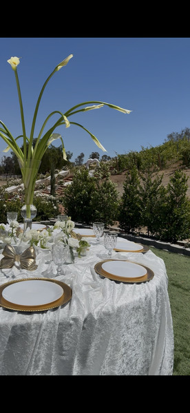 Wild Rose Ranch