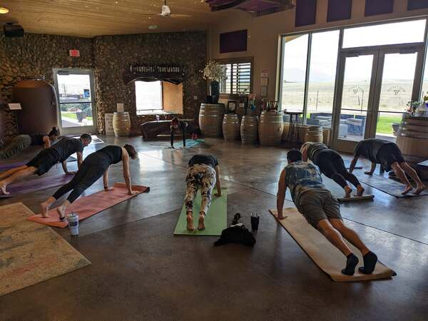 Flying Leap Vineyards and Distillery
