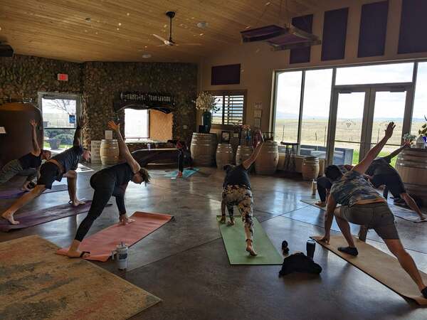 Flying Leap Vineyards and Distillery
