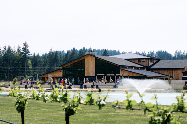 Apona Vineyards