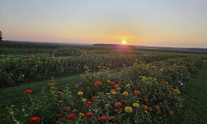 Social Island Farm