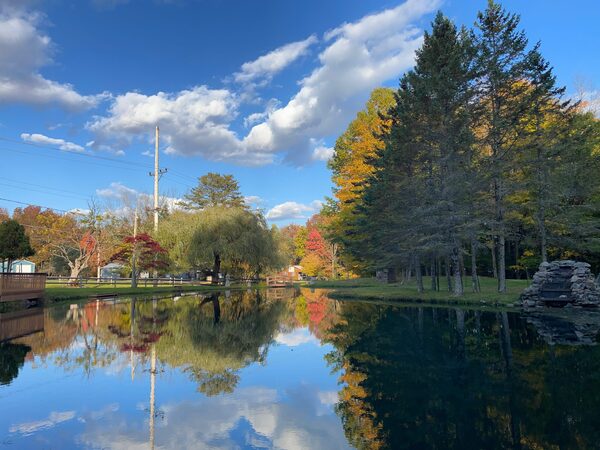 Lazy Pond Bed & Breakfast