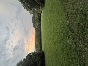 The Field
