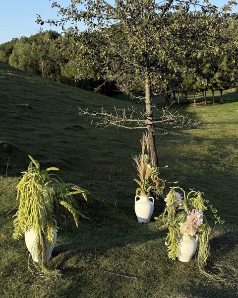 Modern Nature