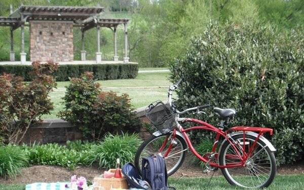Equus Run Vineyards