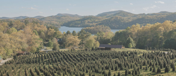 Chimney Pond Farm