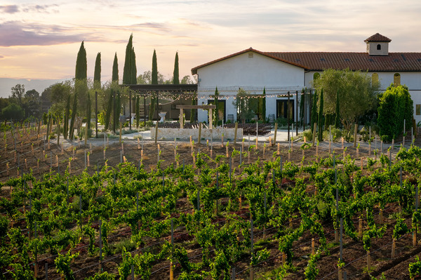 Truffle Pig Winery by Wedgewood Weddings