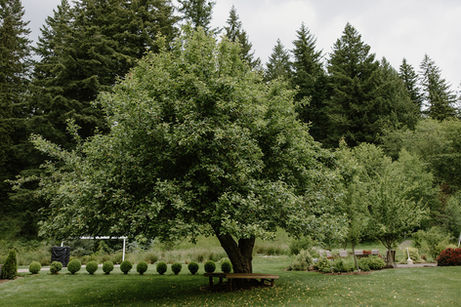 Evergreen Meadows