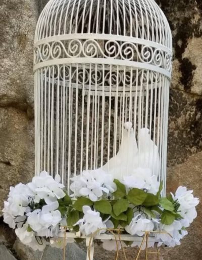 White Wings Dove Release