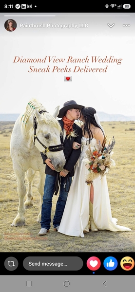 Diamond View Ranch