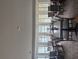 Peacock Room