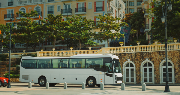 Top Bus